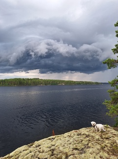 Käännytäänkö takaisin?