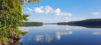 Maisema
Aarni Hyttinen