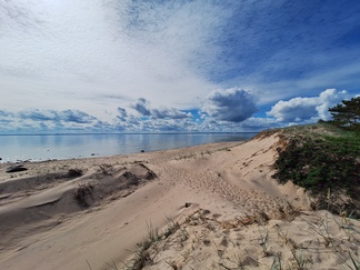 Piitsi
Ami Asikainen