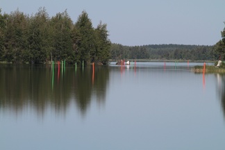 Vihreät oikealle vai vasemmalle?
Ari Immonen