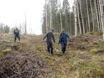 Talkoot 20.5.2017Talkoot 20.5.2017