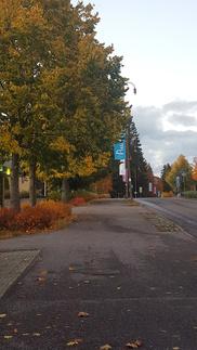 Friday Night Fever syyskuisessa Puumalassa