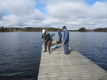 Kirkkorannan laituritalkoot