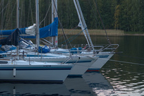 Infernaalinen joukko
