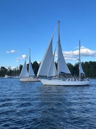 Alli ja Columba Livia maaliviivalla