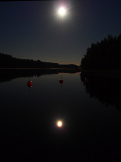 Poijut kuunloisteessa