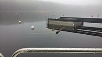 Calm and Misty morning